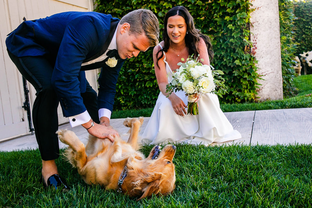 Bride and groom pet their golden retriever on their wedding day at Belle Mer in Newport