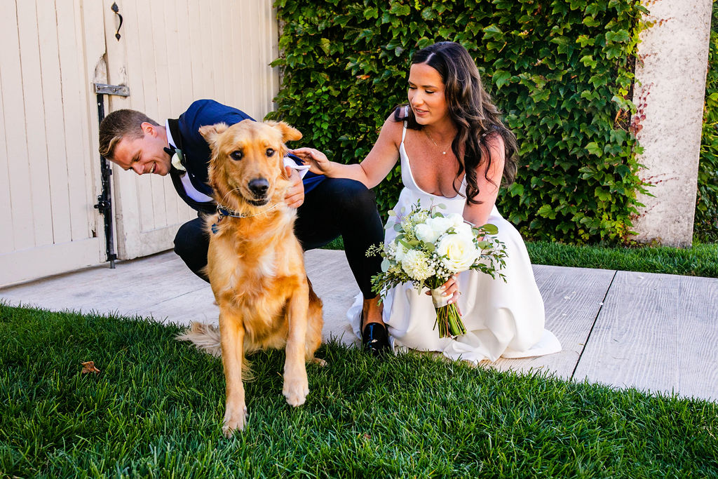 Golden retriever at wedding almost knocks down the groom