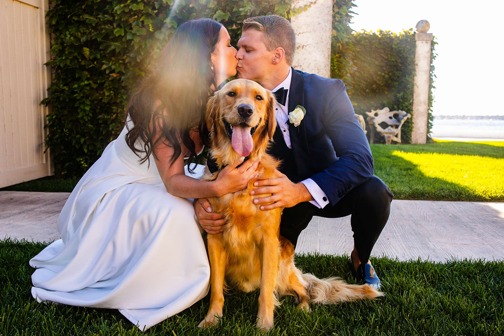 Bride and groom pose with their golden retriever at wedding at Belle Mer in Newport